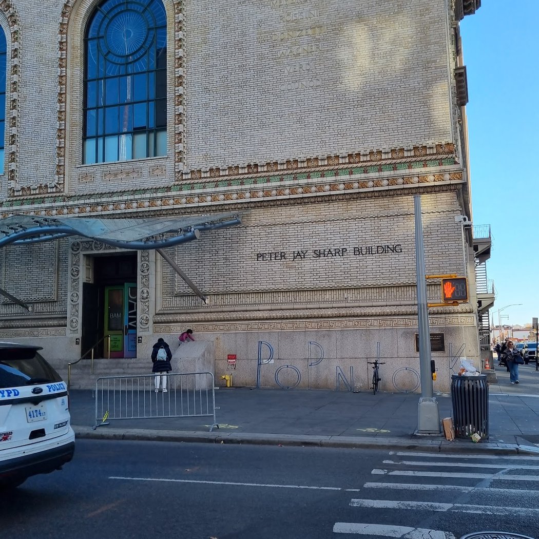 Brooklyn Academy of Music - Cinématek 3