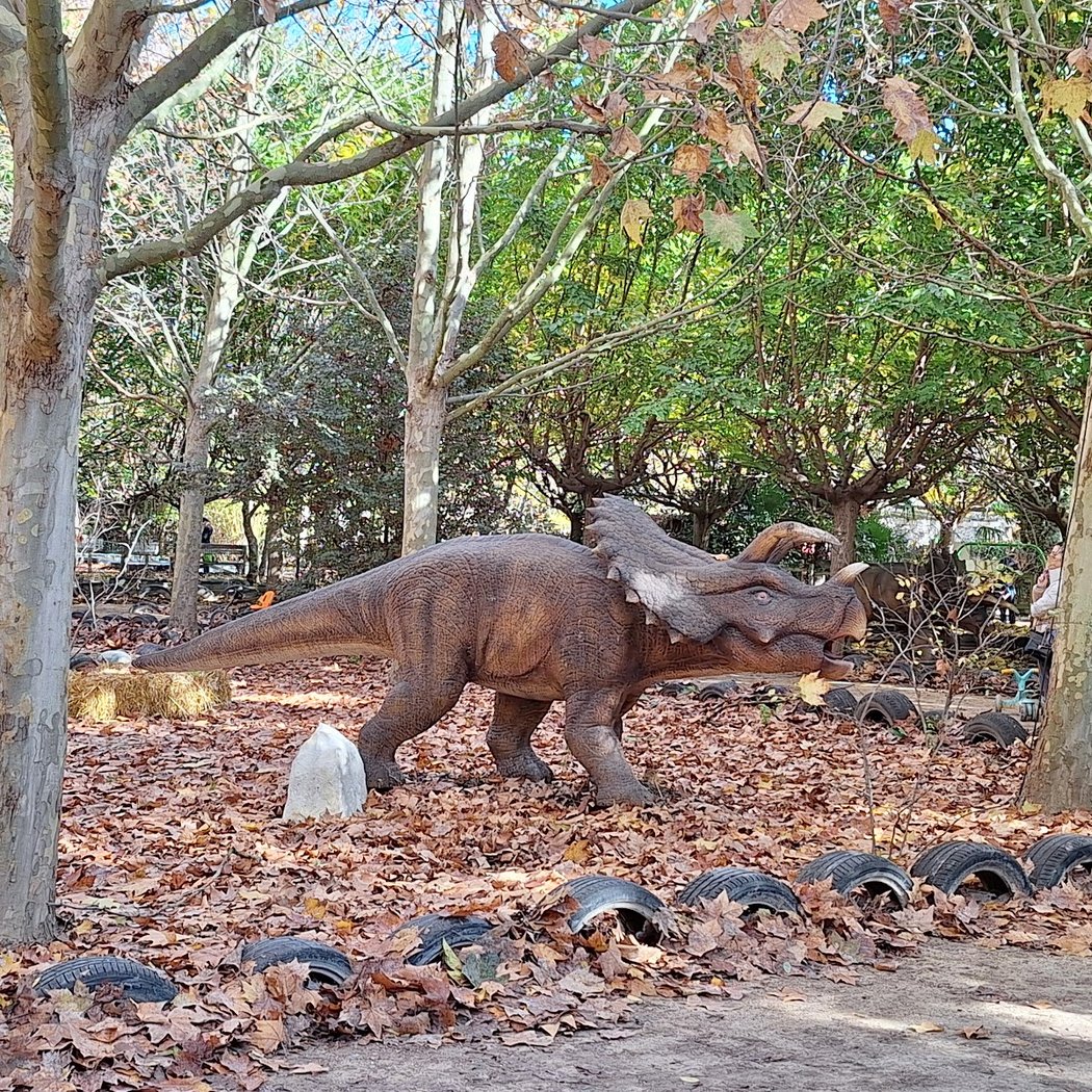 Dinopedia Parc Provence 3
