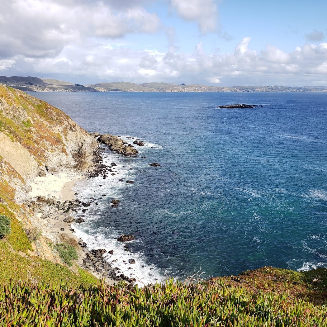 Bodega Dunes Campground 3