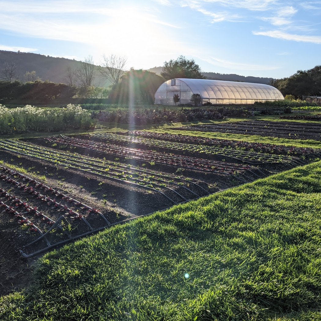 French Laundry Culinary Garden Tours 2