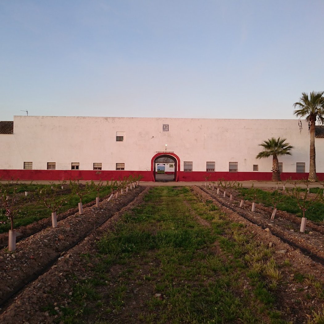 Cortijo San José 2