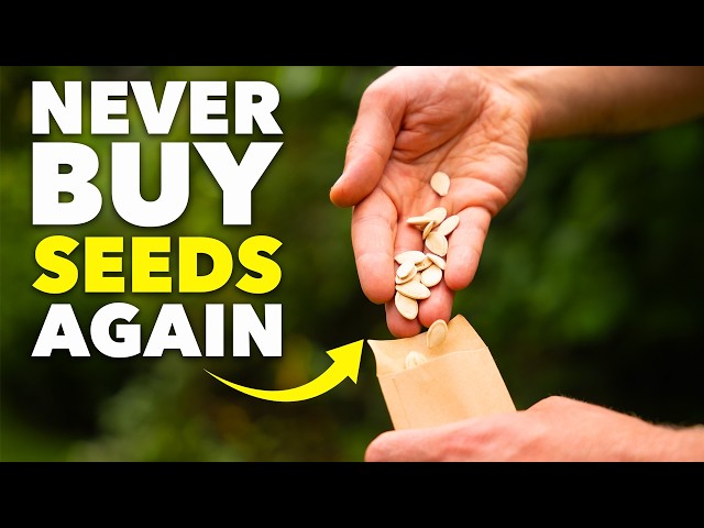 Saving Seeds Successfully: Grow More for Less 1