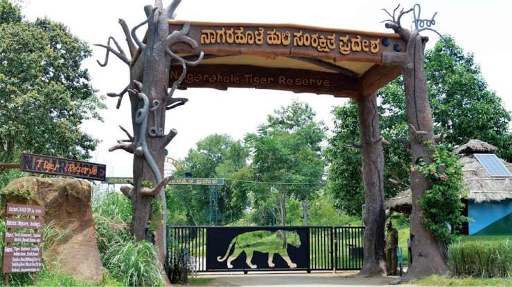 Nagarahole Tiger Reserve 2