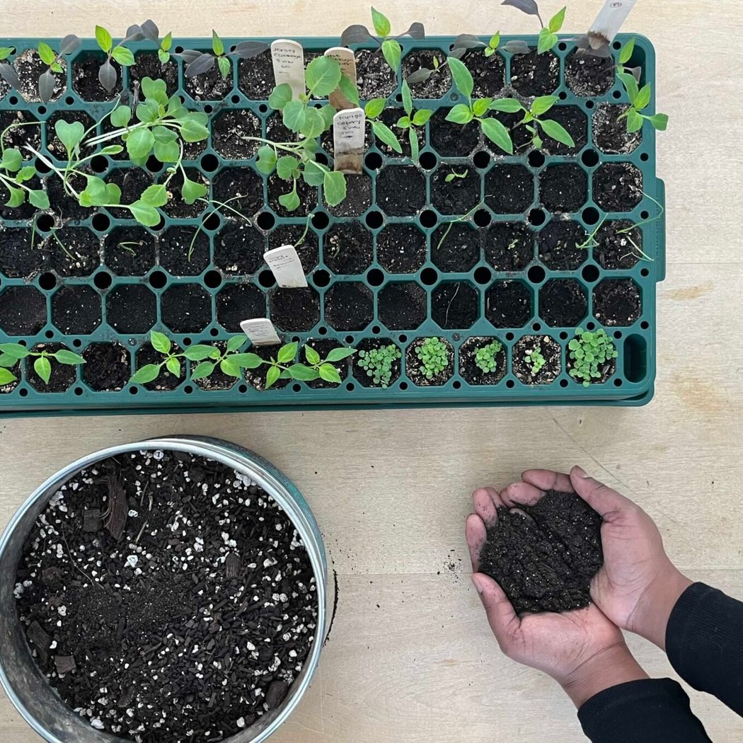 Seed Starting Mix Workshop 1