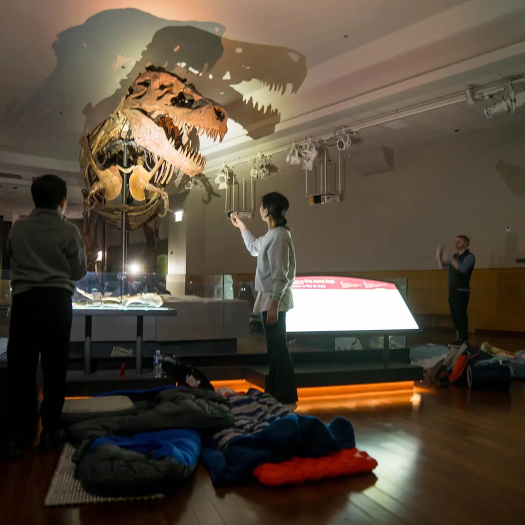 Dozin' with the Dinos 1