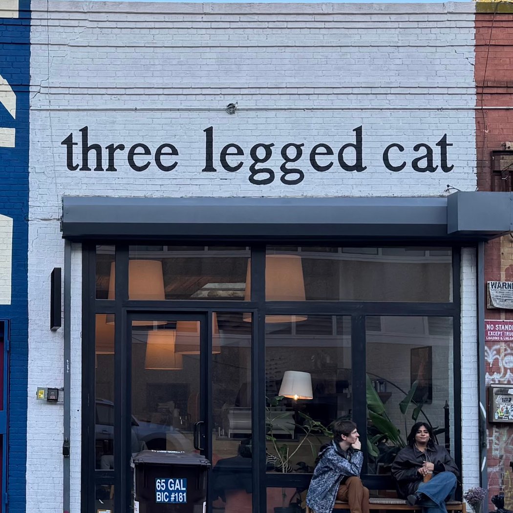 three legged cat 2