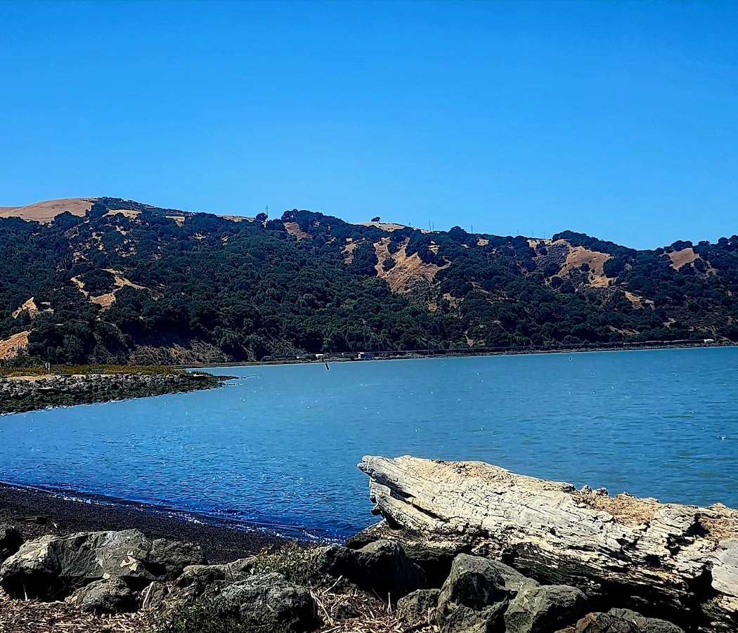 Radke Martinez Regional Shoreline 1