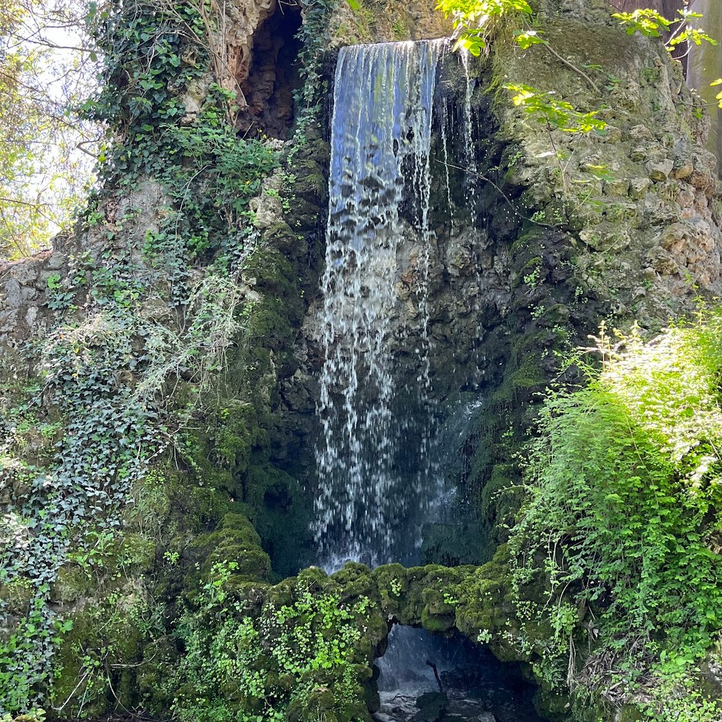 Jardin des Plantes 3