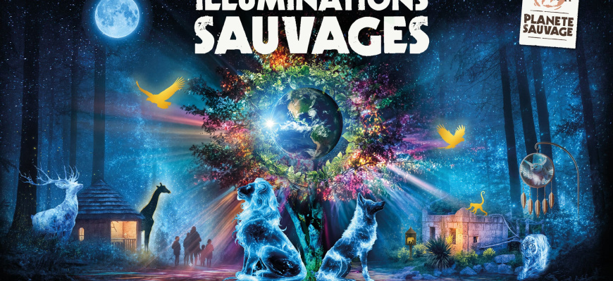 Les Illuminations Sauvages 1