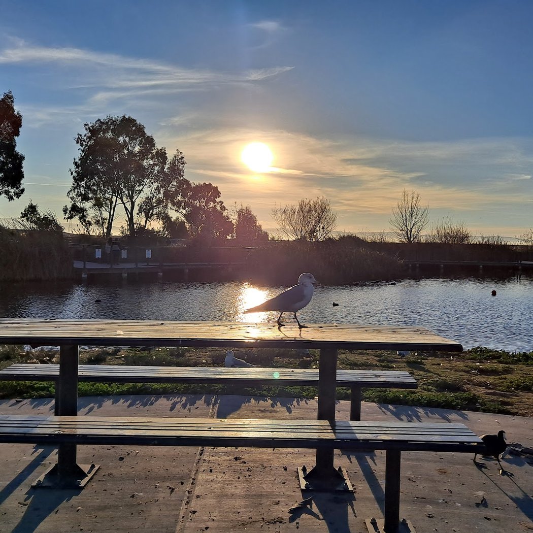 San Lorenzo Community Park 1