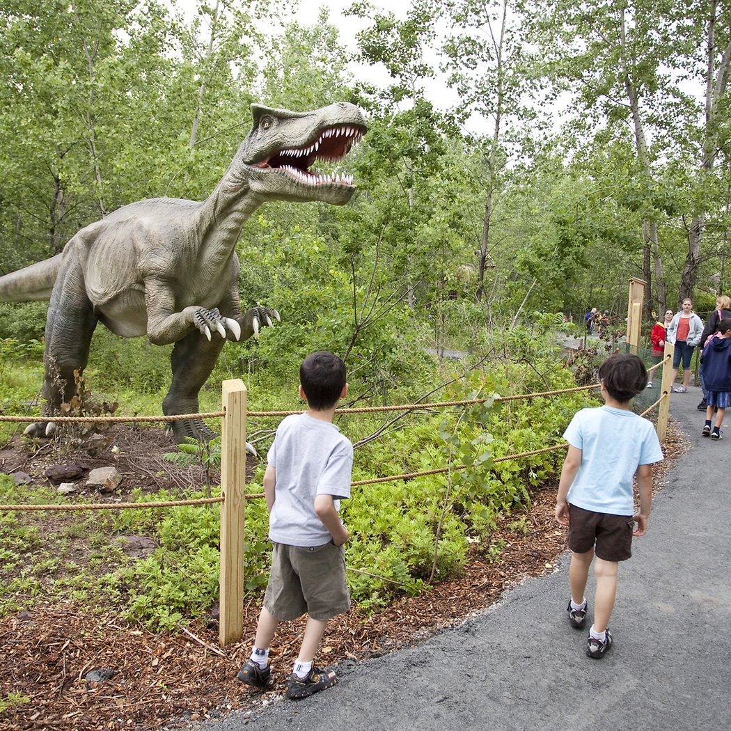 Field Station: Dinosaurs 1