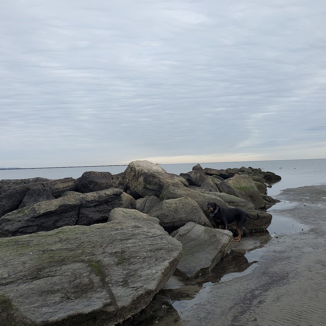 Short Beach 3