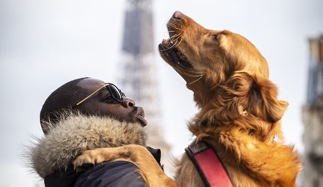 School Chiens Guides De Paris 3