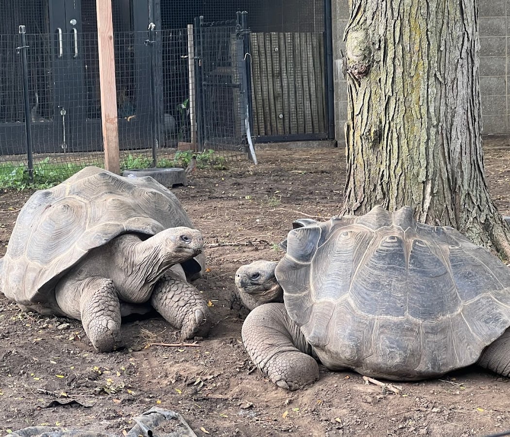 Wild About Wildlife Month 2