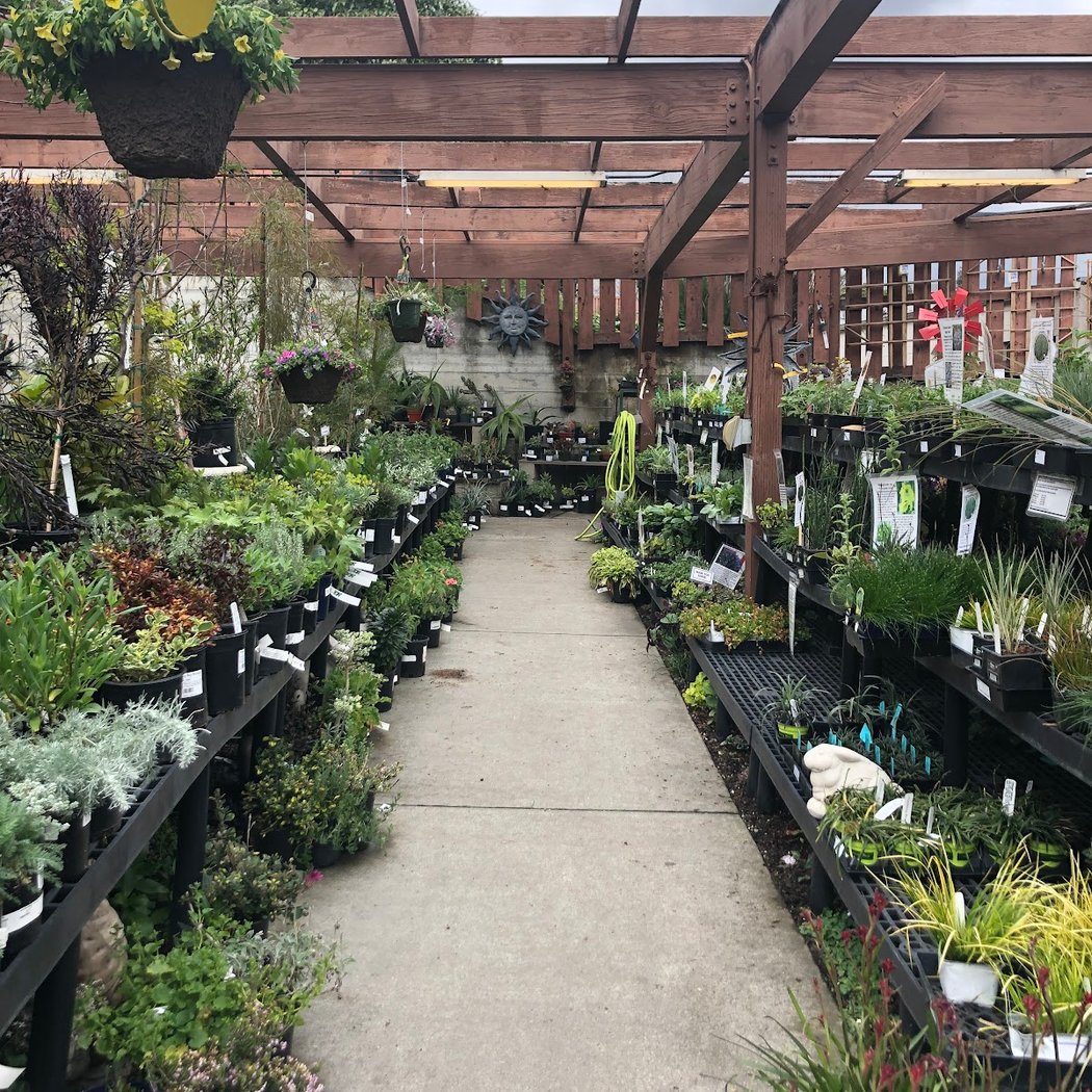 Grand Lake Ace Garden Center 3