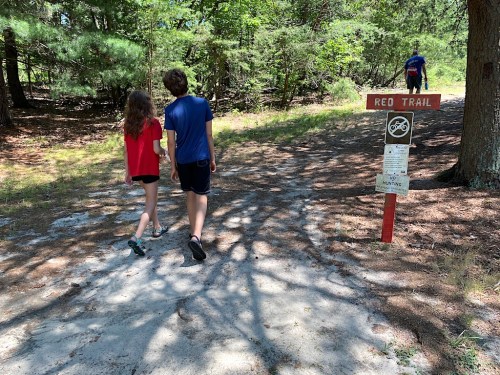 Calvert Cliffs State Park 3