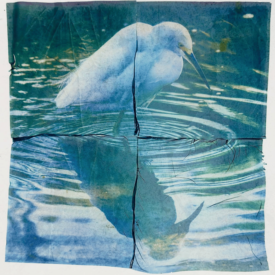 Polaroid Emulsion Lifts: Peeling Back the Magic 1