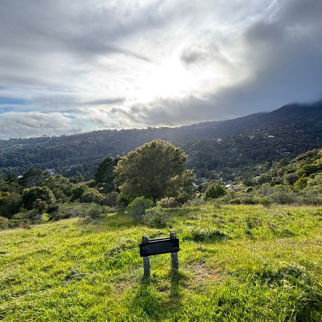 Mayor’s Lookout 2