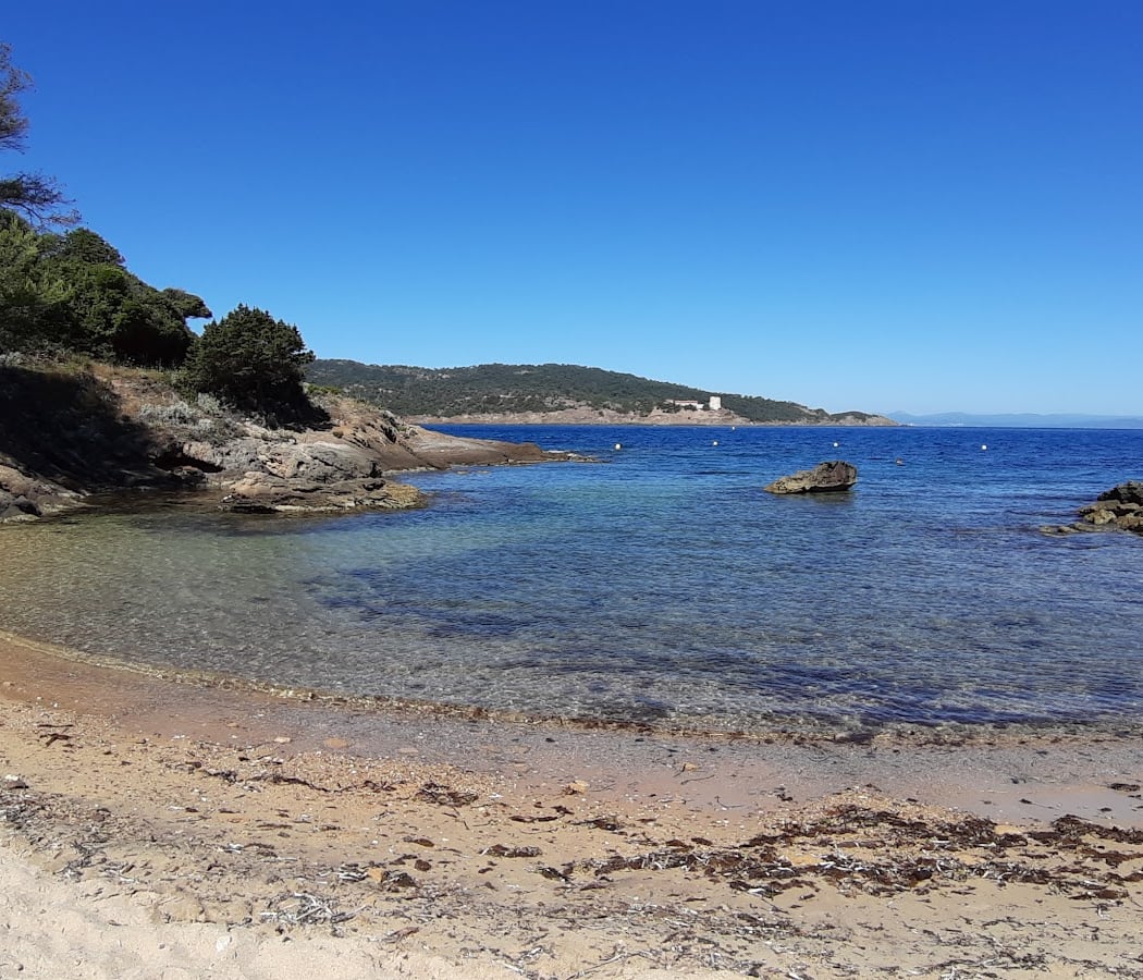Île du Levant 3
