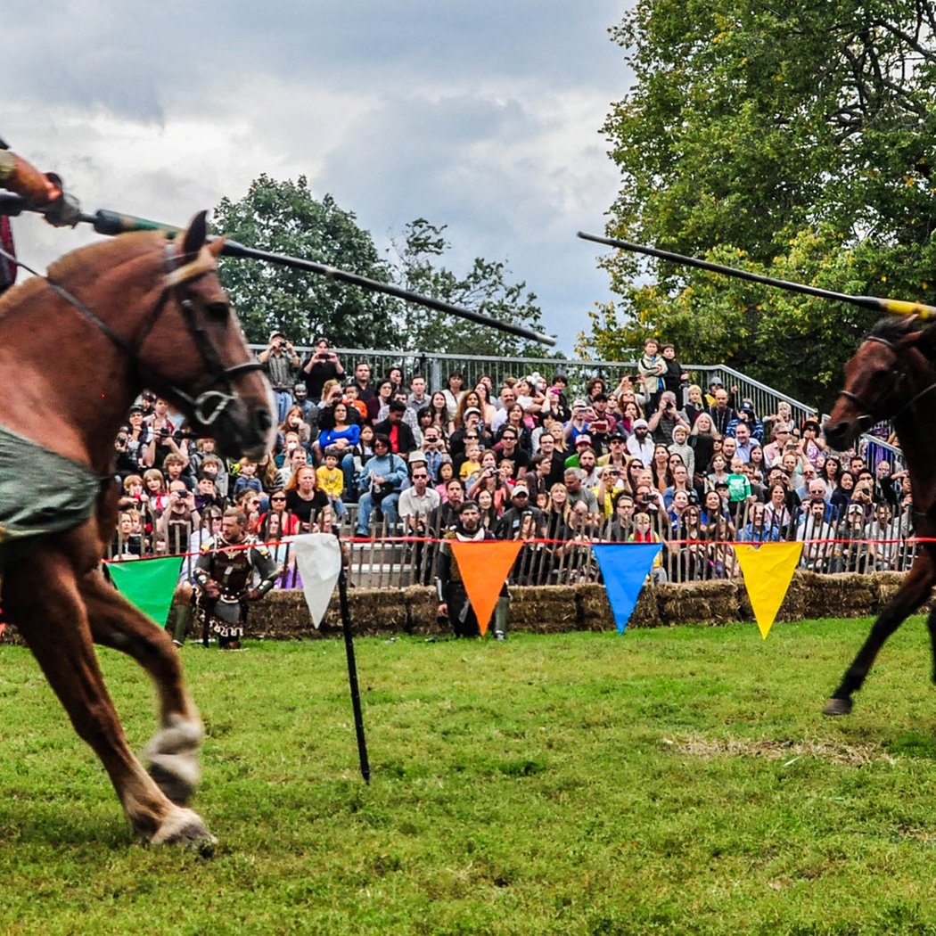 Medieval Festival