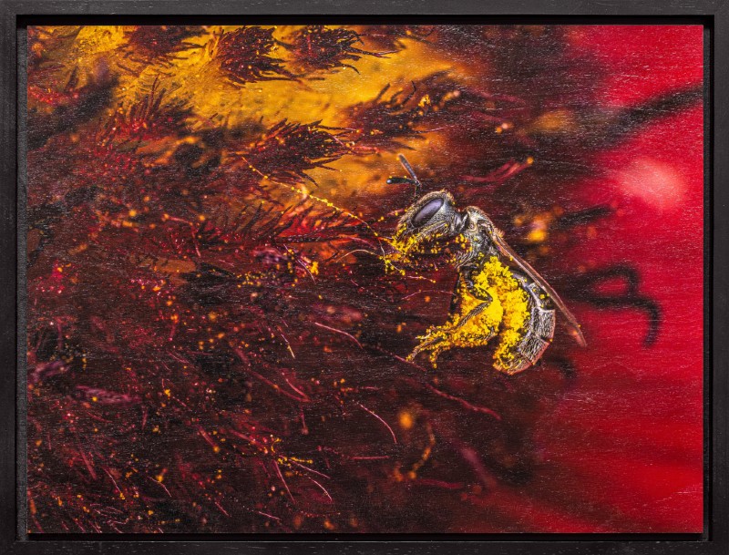 Exhibit Reception for "Closer: A look at the tiny world around us" 3