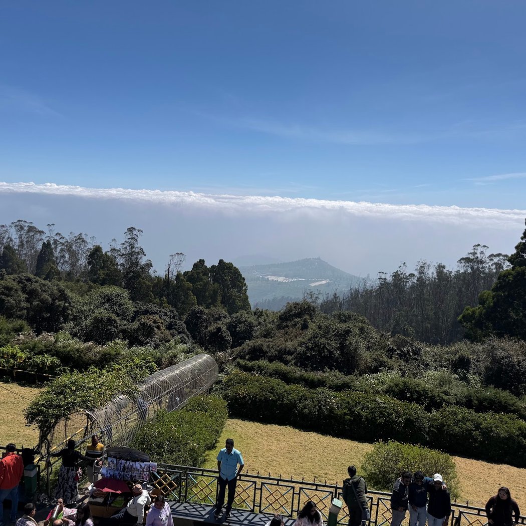 Doddabetta Peak 1