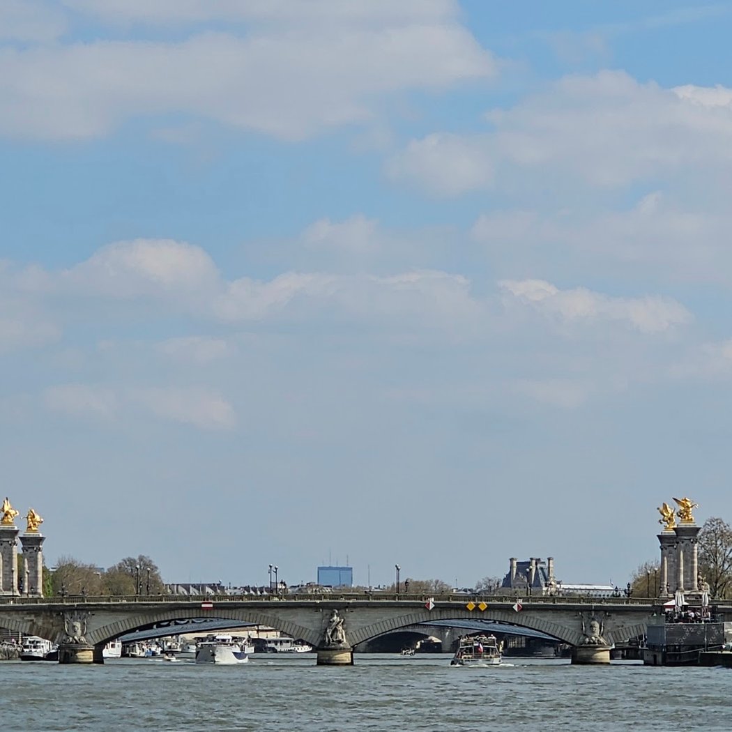 Alma's bridge - Diana 2