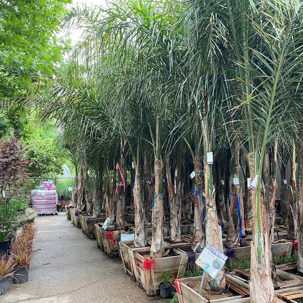 Moon Valley Nurseries 3