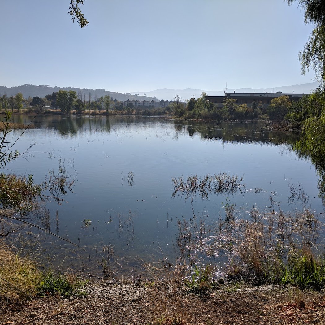 Resilient Landscapes: Defensible Space Meets Urban Cooling 3