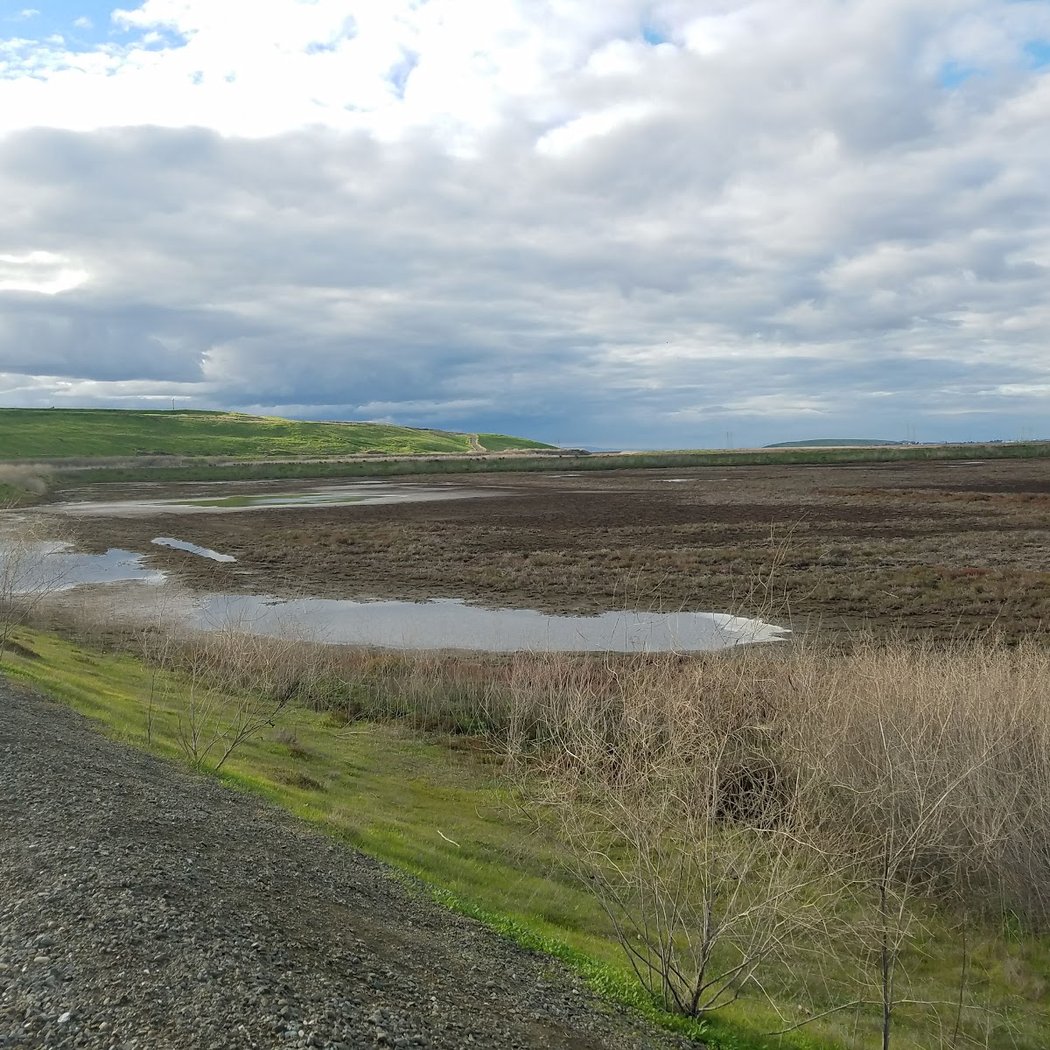 Coyote Creek Lagoon Trail 3
