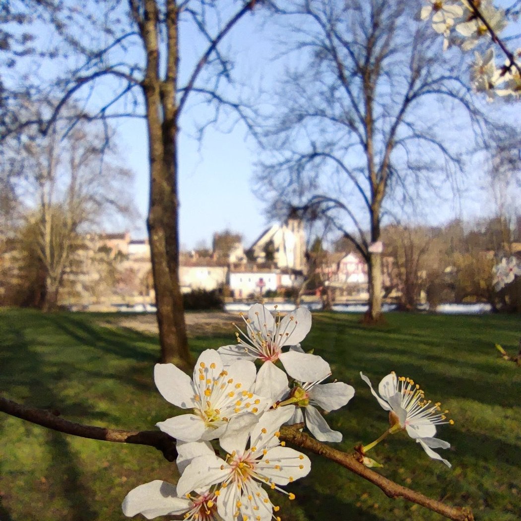 Montigny-sur-Loing 3