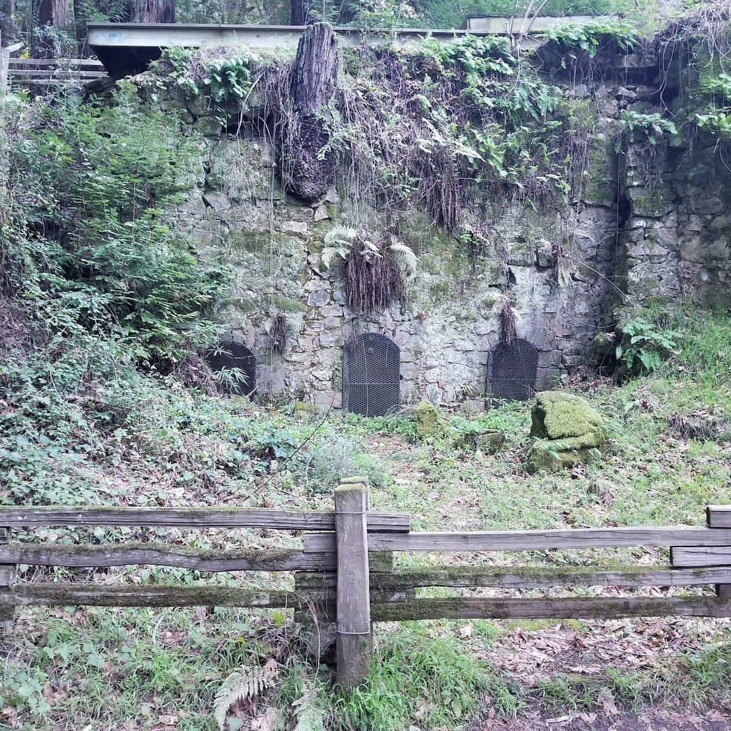 Lime Kiln Trail 1