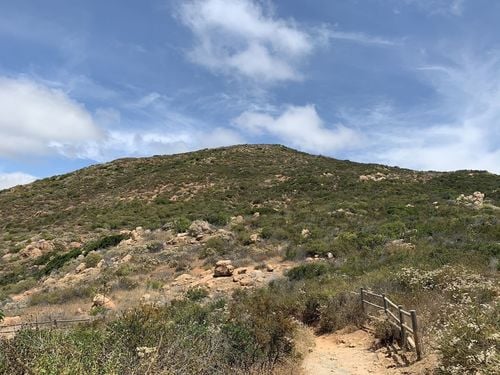 Cowles Mountain 3