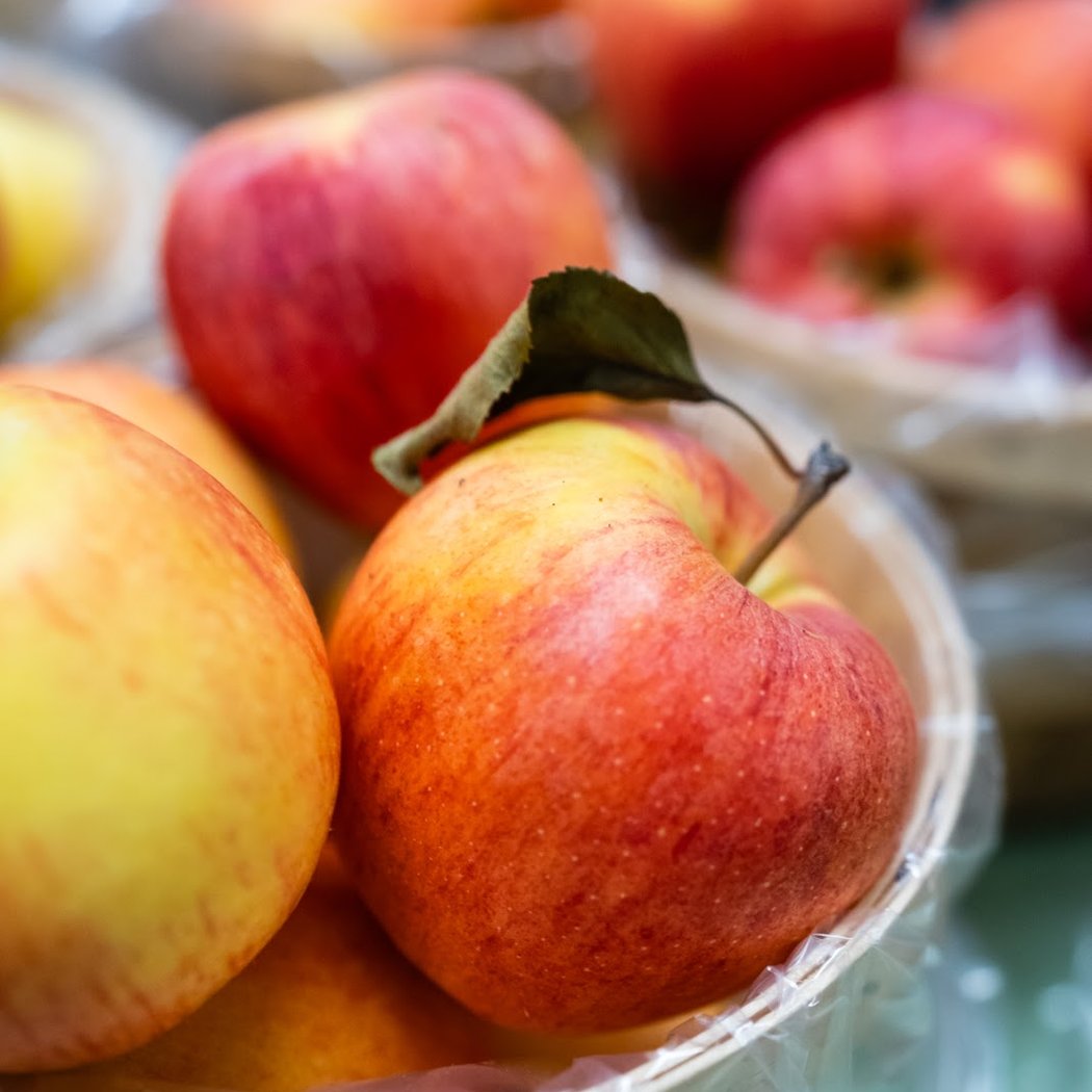 Salinger's Orchard 1