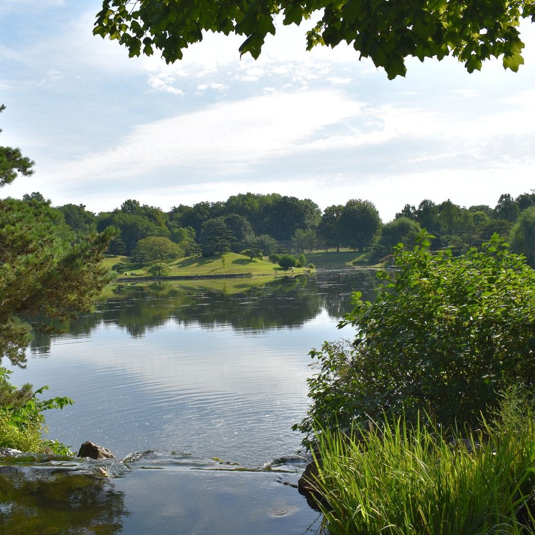 Chicago Botanic Garden 2