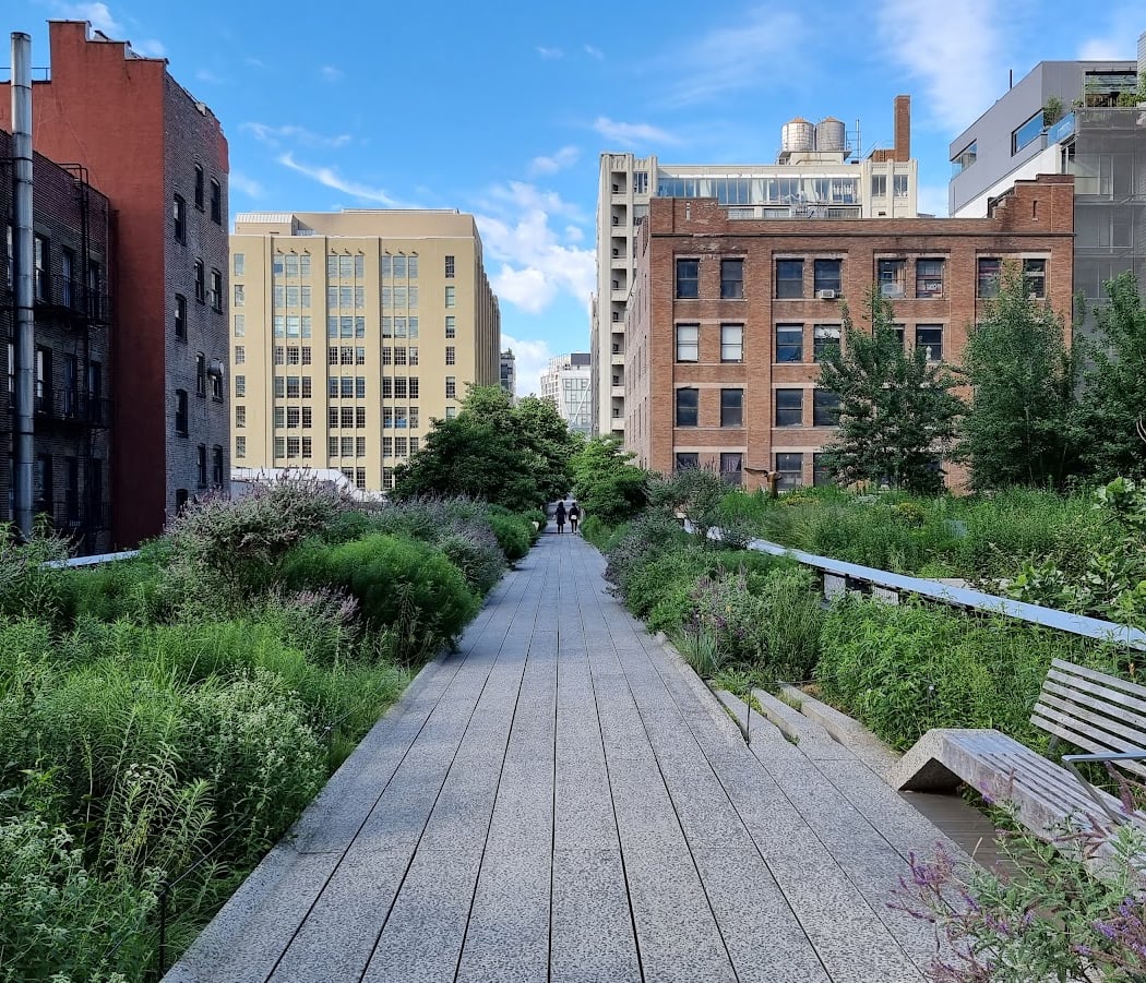 Celebrating City Nature: Insights from NYC Greenspaces 3