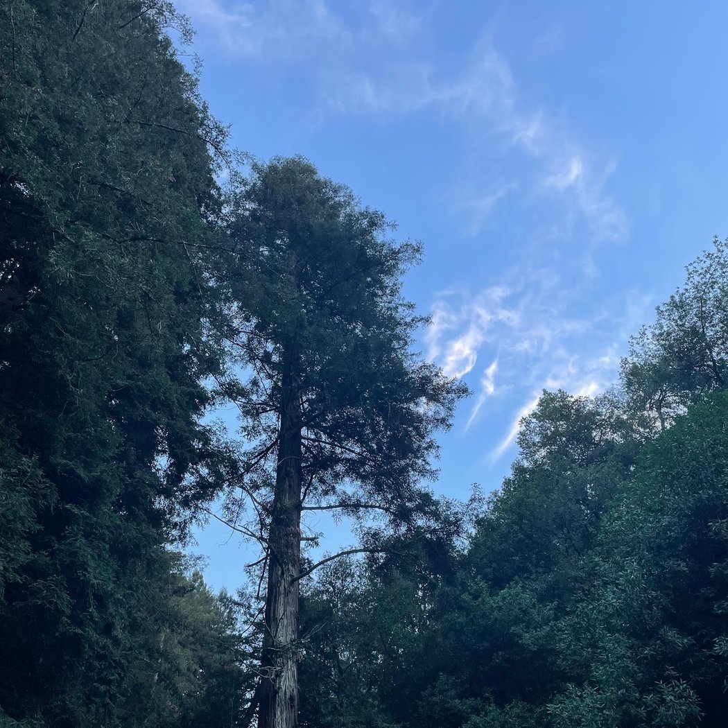 Woodbridge Metcalf Grove 3