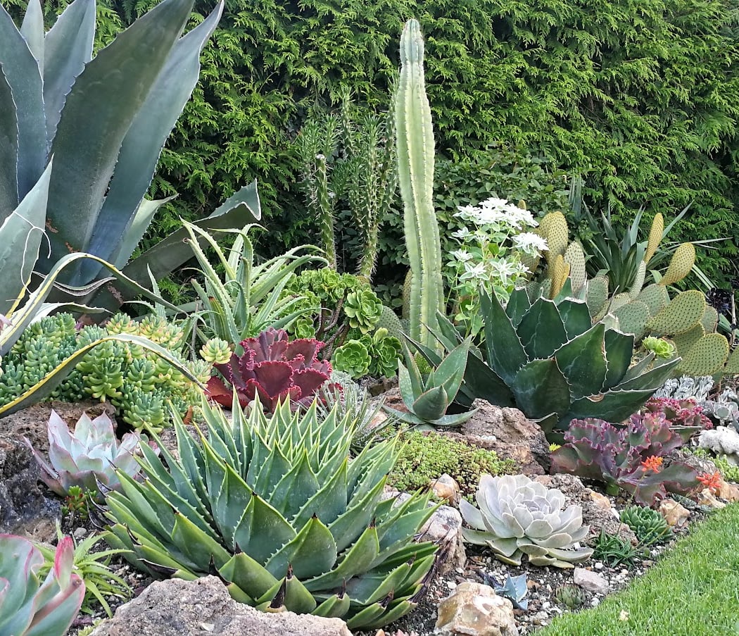 Petits Prés Garden 2