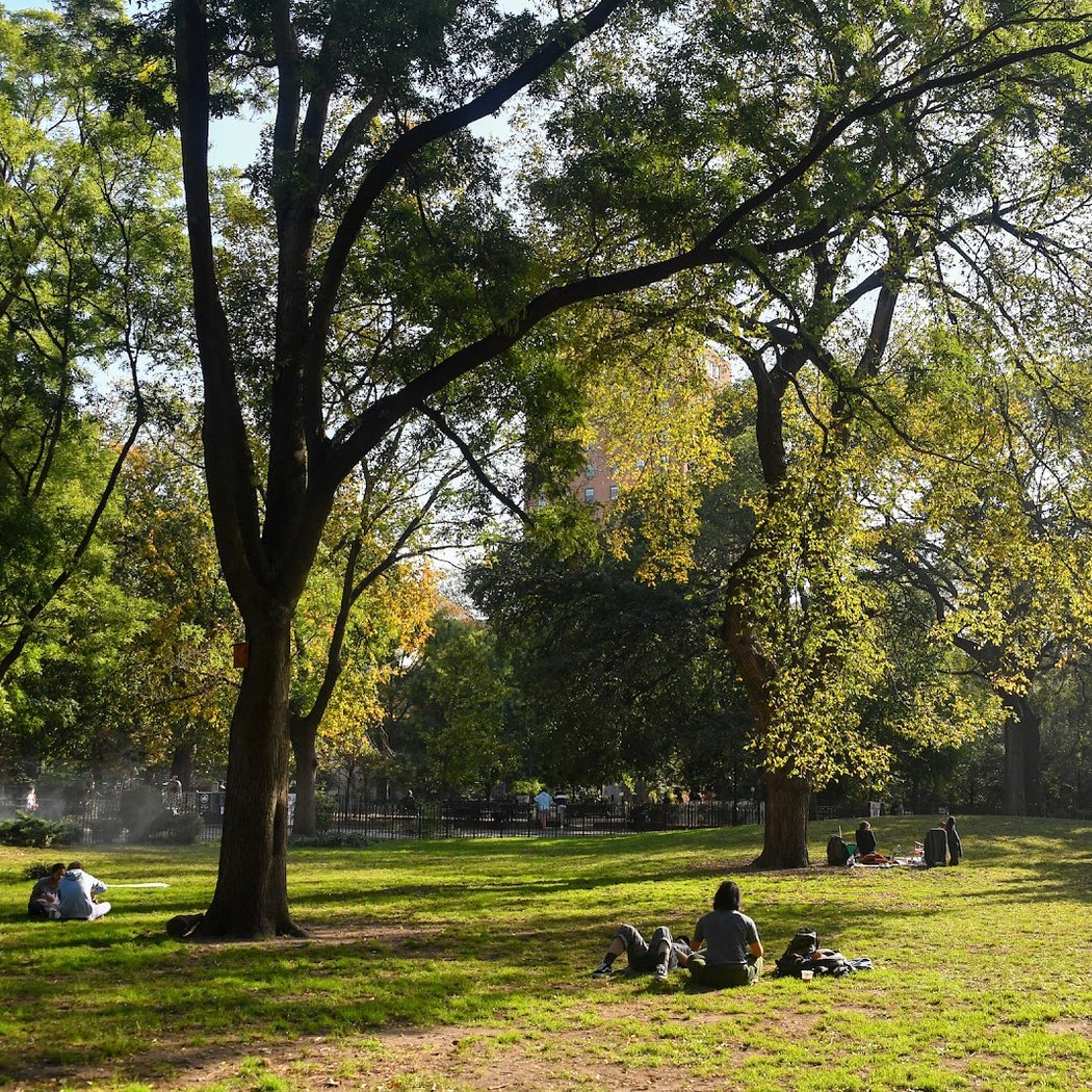 General Park Clean-up 2