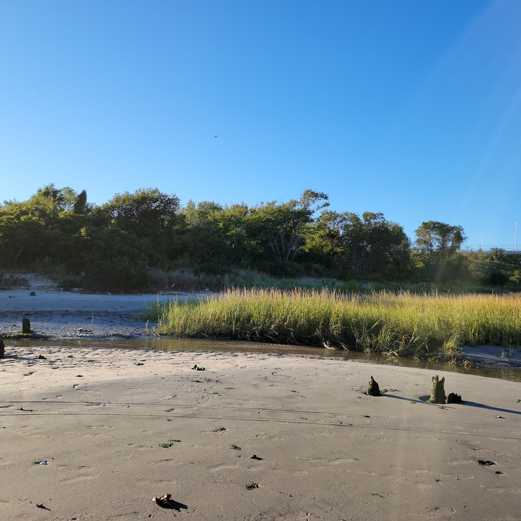 Jamaica Bay 1