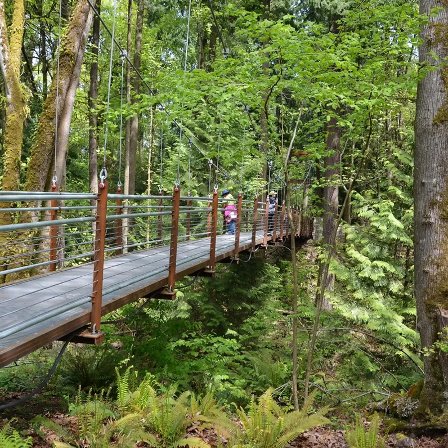 Bellevue Botanical Garden 3