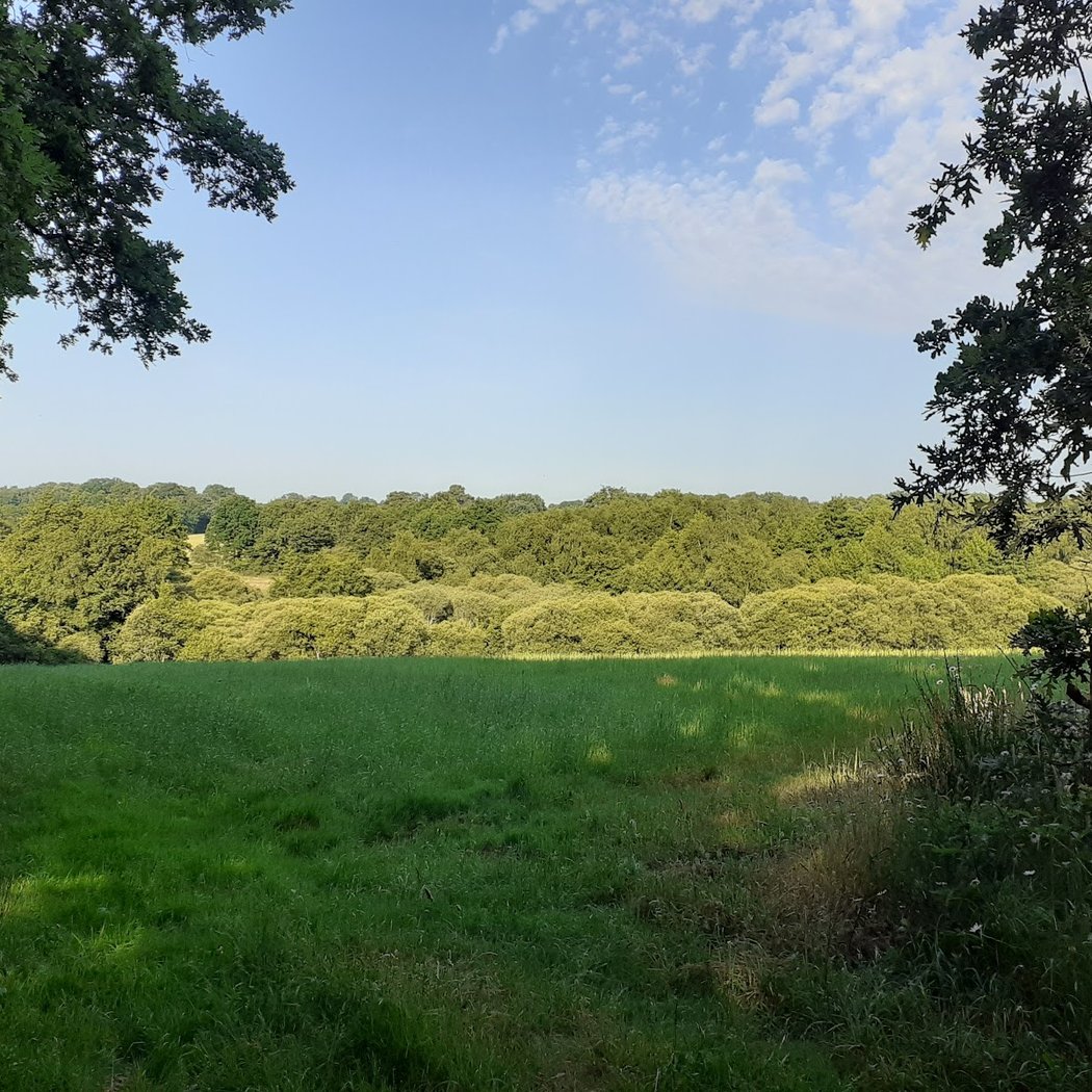 Treillières 3