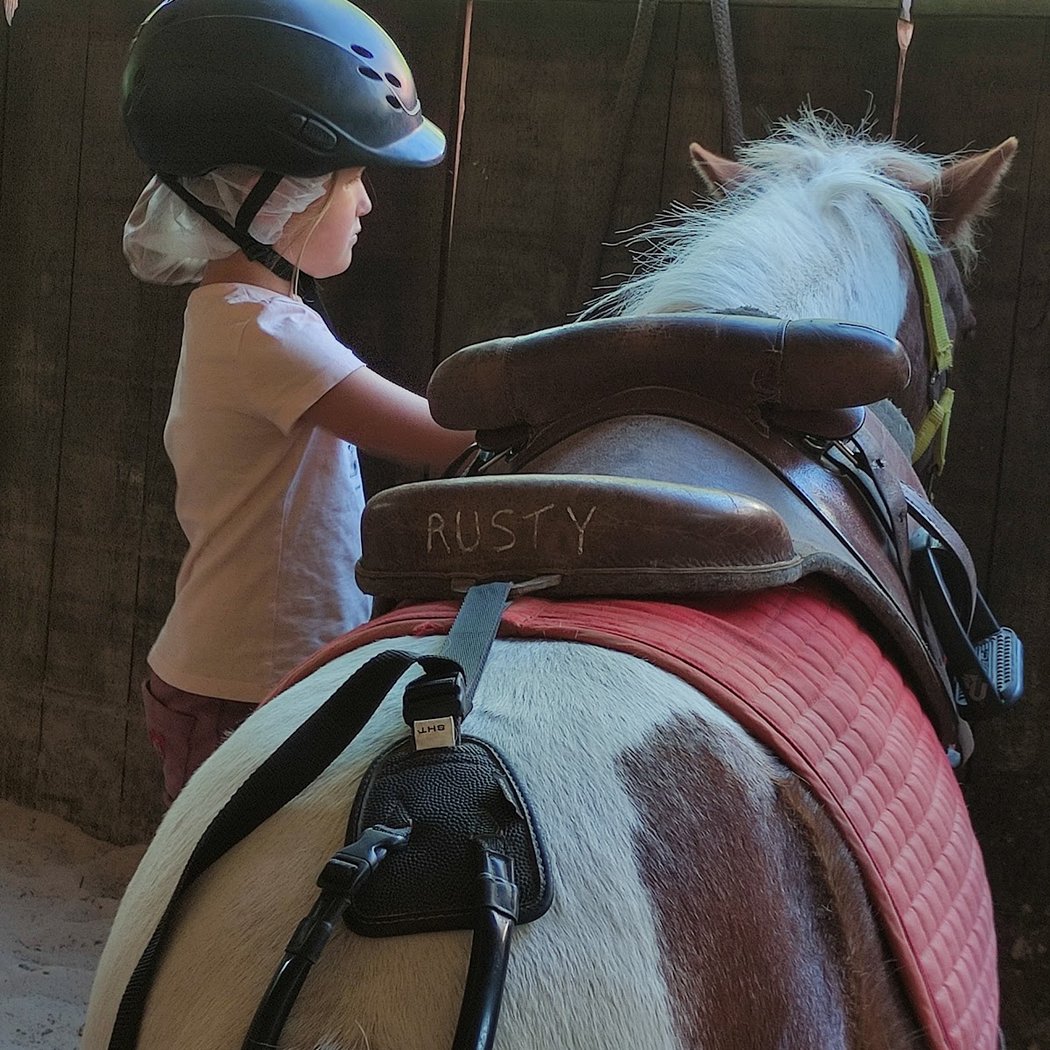 Equestrian Center Pony Club Des Sorinières 1