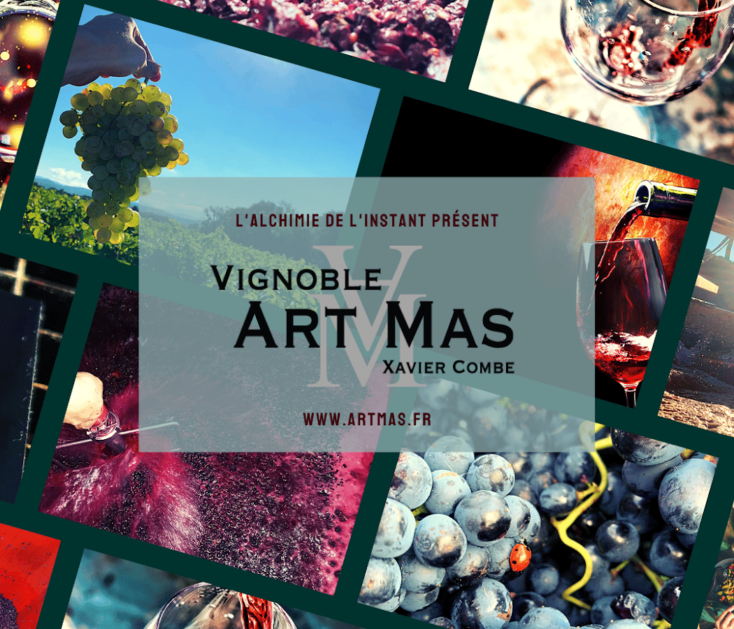 Vignoble Art Mas 2