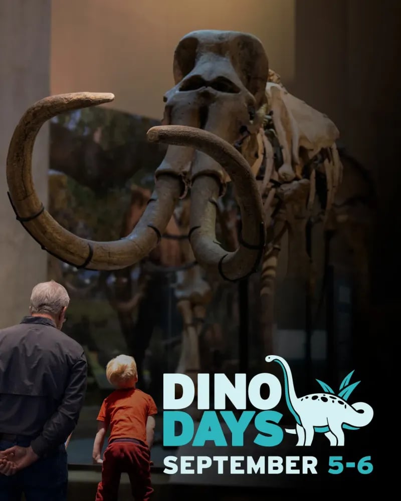 Dino Days