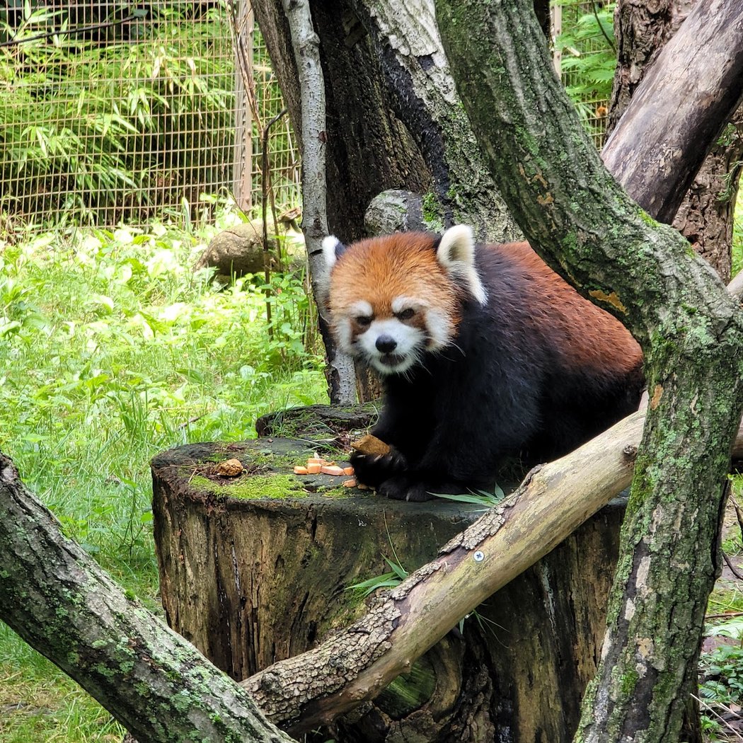 Halloween at Prospect Park Zoo 1