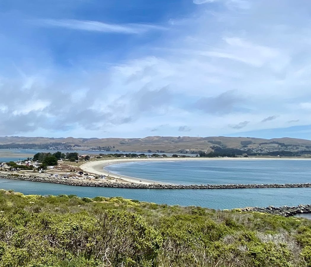 Volunteer Workday with California Native Plant Society 2