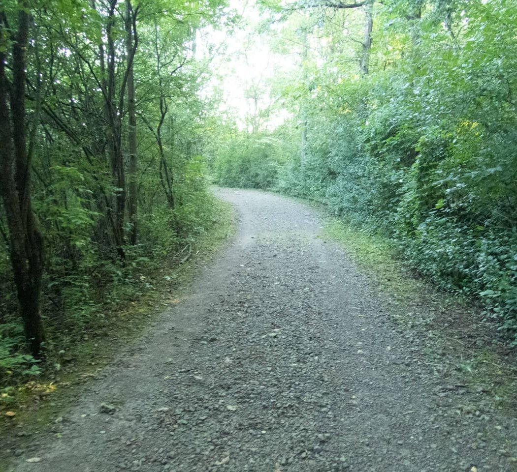 Lillie Park South 2
