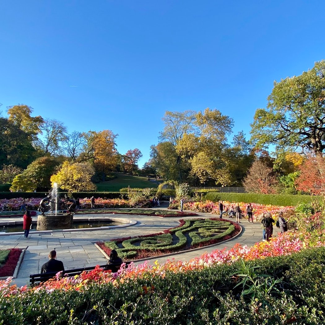 Visites guidées du Jardin conservatoire 3