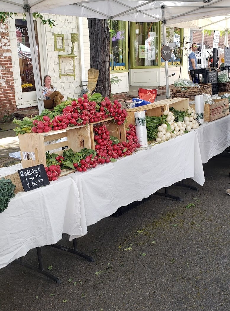 South Pearl Street Farmers Market – Sunday 4